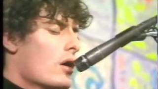 The Clean - Quickstep (live at the Rumba Bar, Auckland, 15 May 1982)