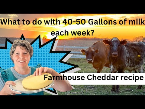Farmhouse Cheddar Recipe!