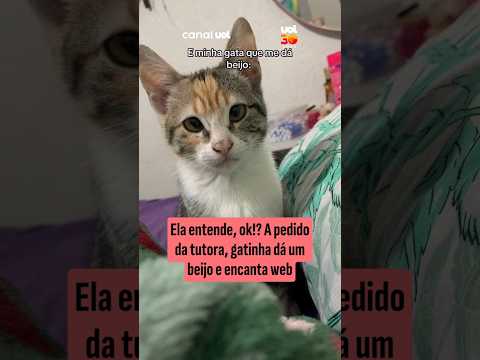 Ela entende, ok!? A pedido da tutora, gatinha dá um beijo e encanta web