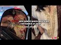 POV Desi Songs Which Will Make You Dance At 3am Hindi Playlist 100k Fyp Foryou Recommended