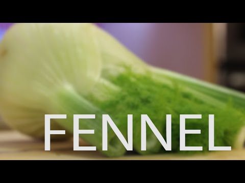 download lagu mp3 mp4 Carbs In Fennel, download lagu Carbs In Fennel gratis, unduh video klip Carbs In Fennel