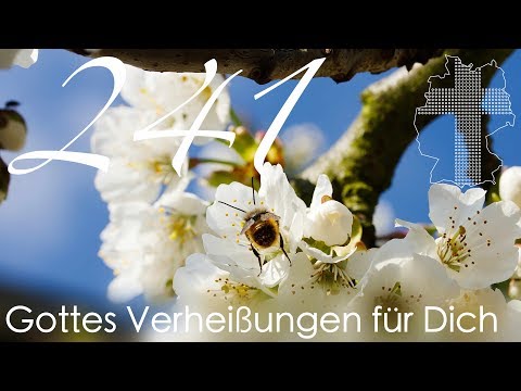 Gottes Verheißungen für Dich - Lukas 12,28 | Videokalender 241/365 - Deutschland braucht JESUS