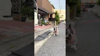 自分より人の事を心配できるフレブル