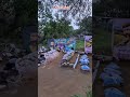 இதுதான் வீரப்பன் உடைய குணம் Veerappan Shortsviral Sh