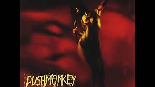 17 ◦ Pushmonkey - Spider