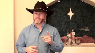 12 days of Christmas