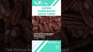Nutrisi dalam Kemiri Bagus untuk Kesehatan Tubuh: Menurunkan Berat Badan & Cegah Kanker