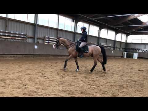 Wallach v. Champion de Luxe