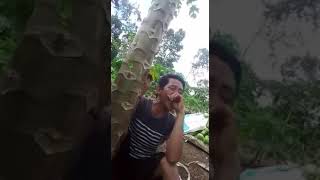 Download lagu Lampung lucu mp3 Download lagu Lampung lucu mp3