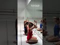 Beautiful Ballerinas Ballet Ballerinas Leotard Dancewear