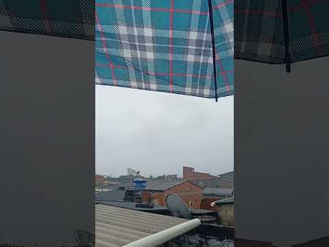 #10mil chuva paraíso mascote Bahia