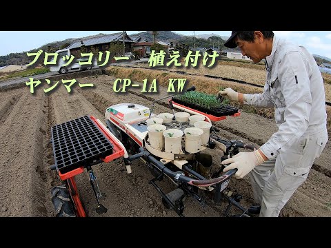 фото рассада-посадочная yanmar cp-1a 0