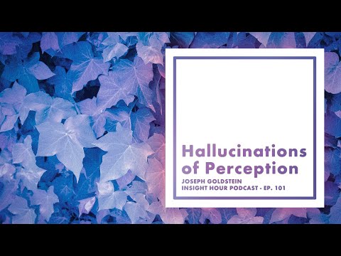 Joseph Goldstein – Insight Hour – Ep. 101 – Hallucinations of Perception