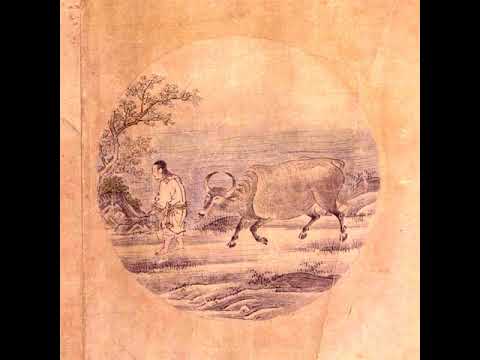 Injustice & freedom .. Through the Dhamma prism