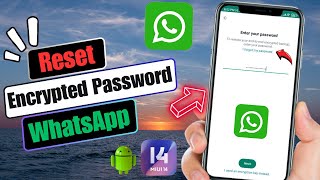 How To Reset Encrypted Password On WhatsApp | Recover WhatsApp Encrypted Password 2024