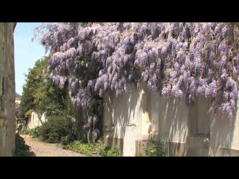 Candes-Saint-Martin