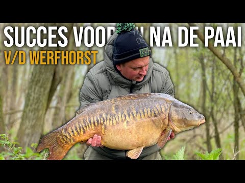 SUCCESVOL KARPERVISSEN VOOR EN NA DE PAAI - Pieter v/d Werfhorst | KWO How To PREVIEW