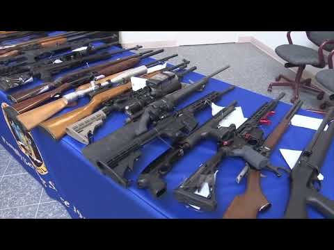 Illegal Guns: Interstate Task Force