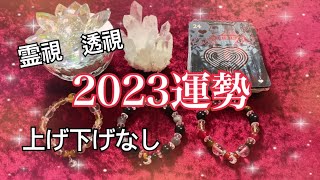 2023運勢☆神展開あり！霊視　透視　上げ下げなし　辛口【ルノルマンカードリーディング】
