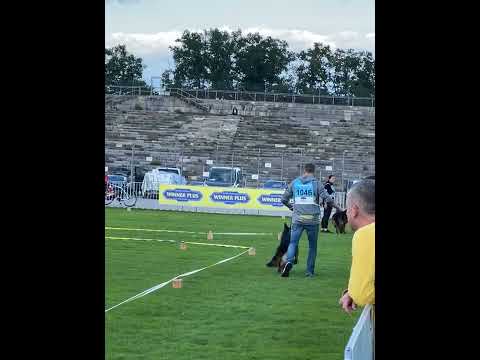 V18 Quintus Team Ulmental - BSZS 2022 Nurnberg - Stand (VA1 Usher)