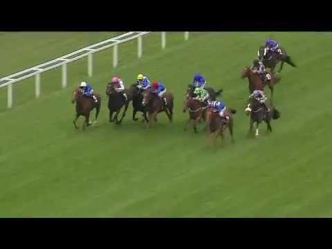 #WoMile | Meet the 2016 Ricoh Woodbine Mile Contenders