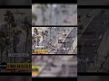 Miled 3 Video thumbnail