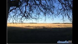 RAMON AYALA Y ELISEO ROBLES  Debajo De Aquel Arbol.