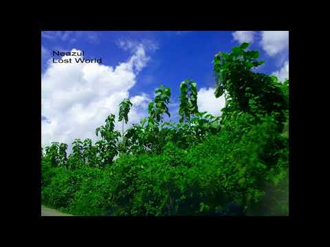 Ke Tomake Bashir Sure -  Shawkat Hayat Khan