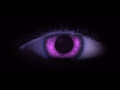 Introducing  | Purple Eyes DVD