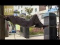 Man Sleeping On A Rope Brings Kung Fu Novel To Life