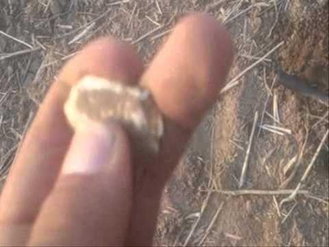 Moje Wykopki Odc. 123 (SE02 E23)