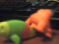 frog rapes green fish OMG 