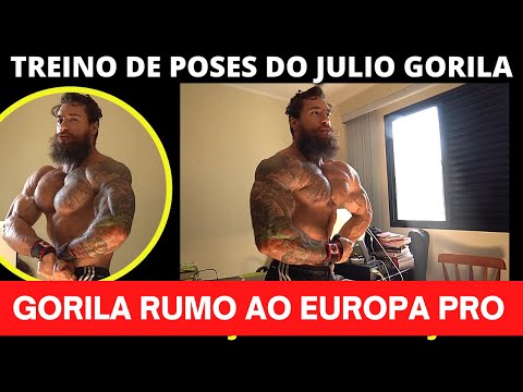 JULIO GORILA - COMEÇOU O TREINO FORTE DE POSES PARA O SHOW