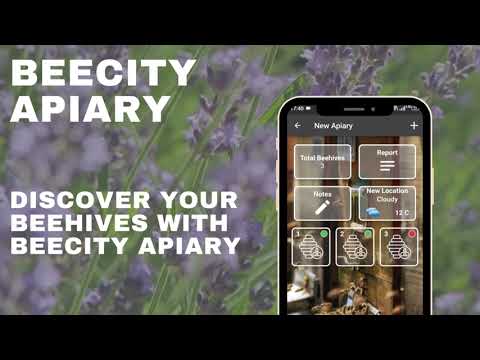 Beecity Apiary