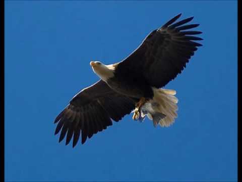 ABBA - Eagle