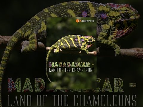 Madagascar - Land of the Chameleons