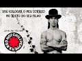 Red Hot Chili Peppers - Lovin' And Touchin' (Legendado em Português)
