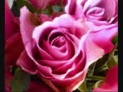 Keri Dameron -Tis The Last Rose of Summer (Cover) Acapella Blue Snowball Mic