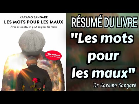 Résumé Complet Du Livre "Les Mots Pour Les Maux" De Karamo Sangaré | Vainqueur Cyprien @Kaaramoo