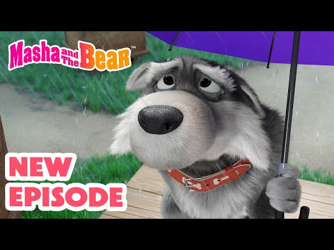 Masha and the Bear 2025 🎬 NEW EPISODE! 🐺 Don't sell me a dog 🐶🐩🎬 Best cartoon collection