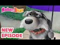 Masha And The Bear 2025 NEW EPISODE Don T Sell Me A Dog Best Cartoon Collection
