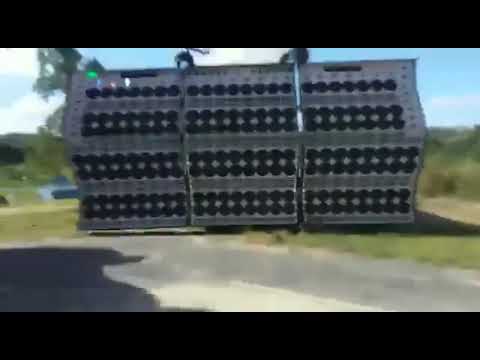 CONSTELLATION G2 VS CONSTELLATION POWER PESADELO?