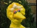 Sesame Street Big Bird Rosita And Elmo Play Family