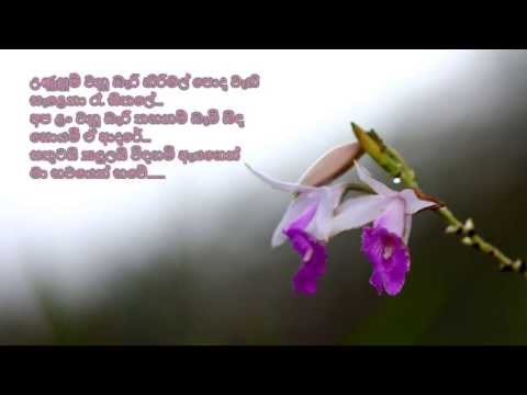 Meeduma Athirunu Raa Kandu Pela Athare - මීදුම ඇතිරුණු රෑ කඳු අතරේ