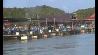 preview picture of video 'Kelong @ Pulau KUKUP Johor 2009'