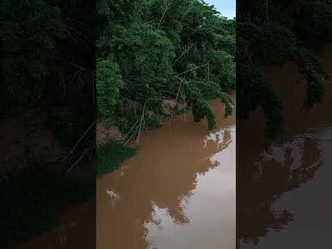 Rio Jurigue em Pedra Preta MT...