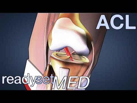 What is the ACL and How Does it Work? - ACL Series