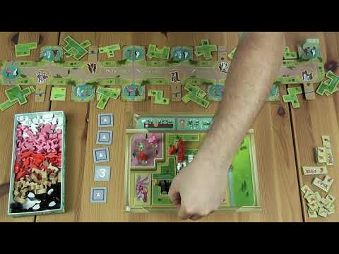 EGYSZEMÉLYES JÁTÉK: NEW YORK ZOO - d3meeples