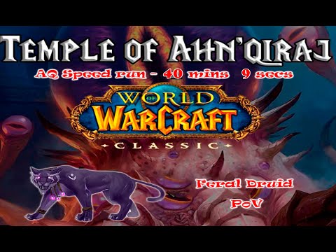Fast-Paced AQ40 Memories - Feral Druid's 40-Minute Challenge!