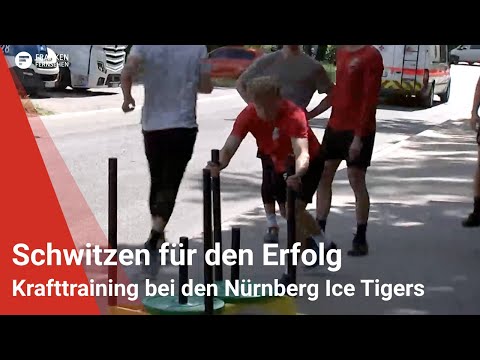 Nürnberg Ice Tigers: Schwitzen für den maximalen Erfolg